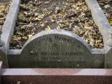 image of grave number 198813